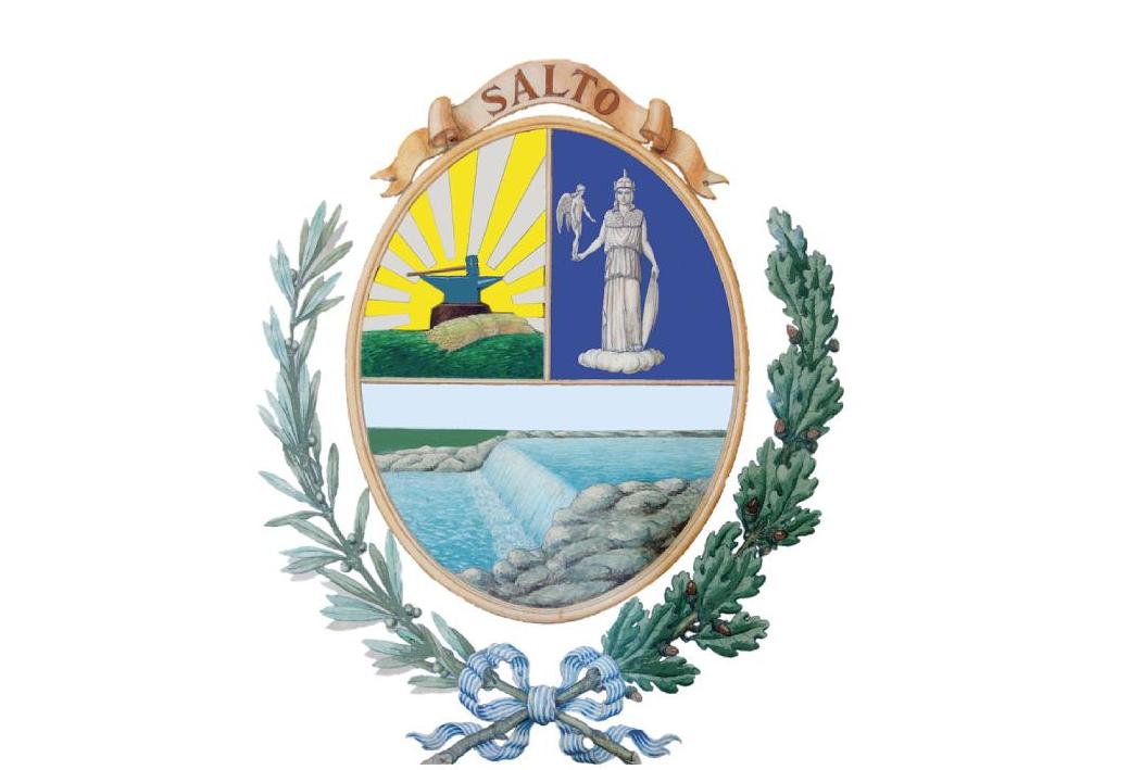 Escudo de Salto Chacra Municipal