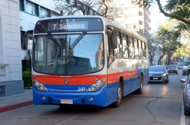 omnibus